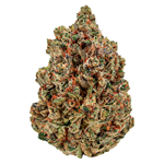 Cheers Cannabis - Sugar Daddy - Indica - 7g