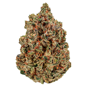 Cheers Cannabis - Sugar Daddy - Indica - 7g