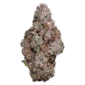 Tribal - Porto Leche - Hybrid - 3.5g